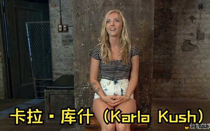 karlakush 与多人的激烈对战精彩呈现