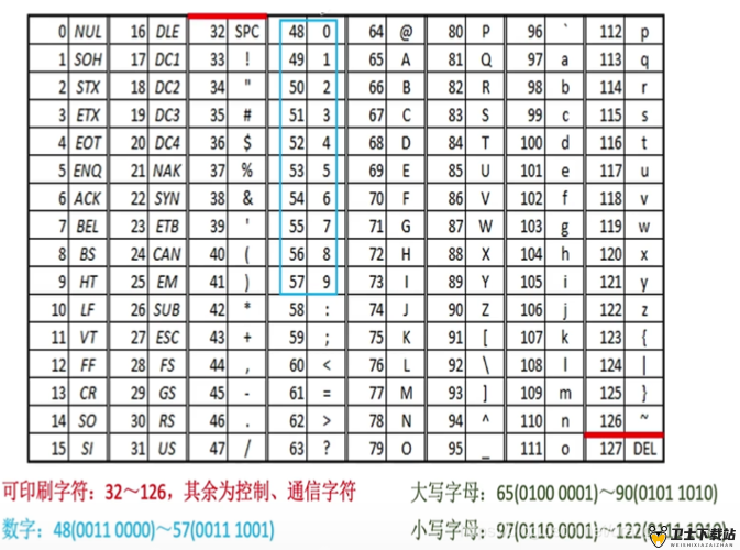 日韩码一码二码三码区别：深入剖析其各自特点与应用场景